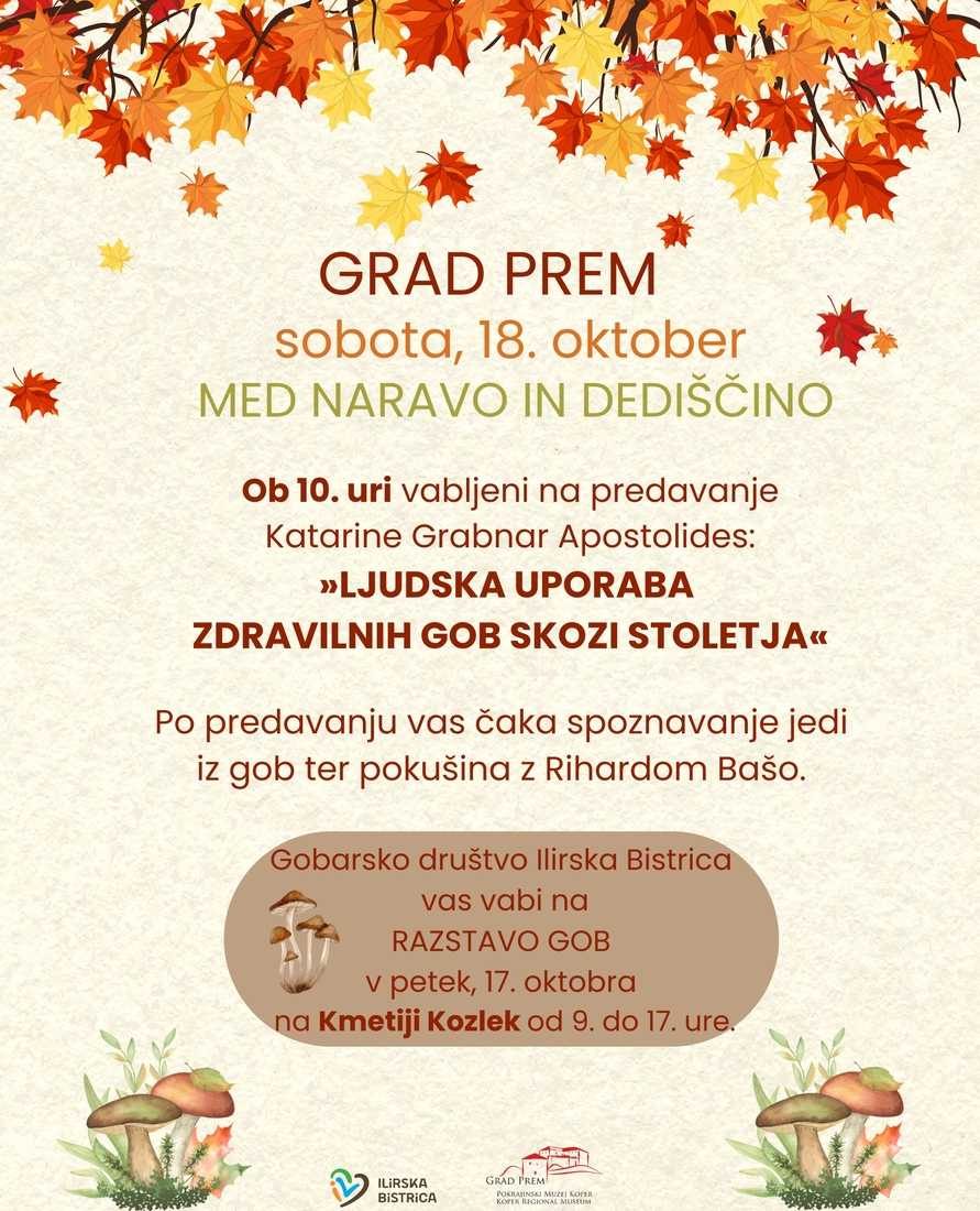 Grad 1
